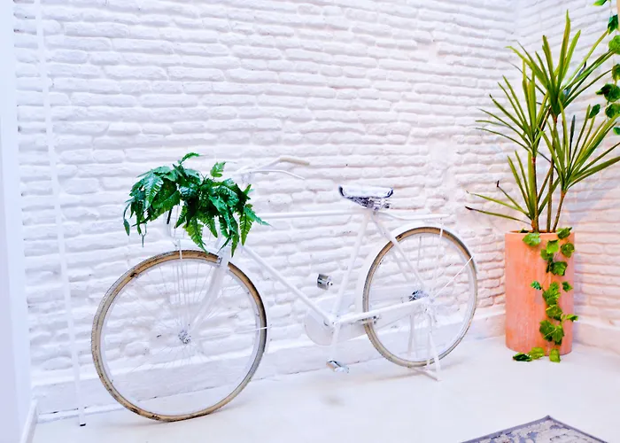 Apartamento: The Zentral Arenal Suites